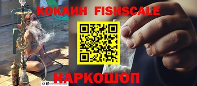 дмт Сланцы