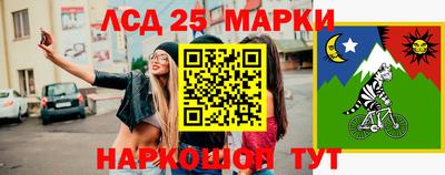 дмт Сланцы