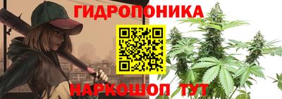 дмт Сланцы